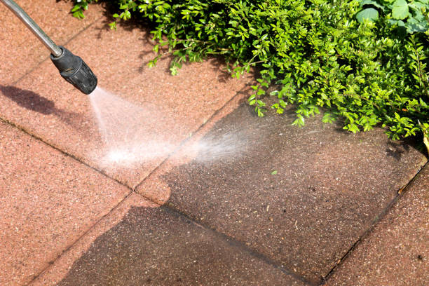 Best Sidewalk Pressure Washing  in Brookville, NY